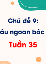 Chủ đề 9 Cháu ngoan Bác Hồ  Tuần 35